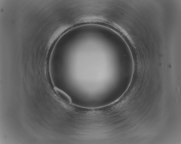 X0000073871277200608170958