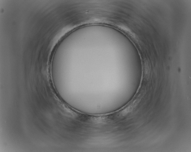 X0000073871278200608170958