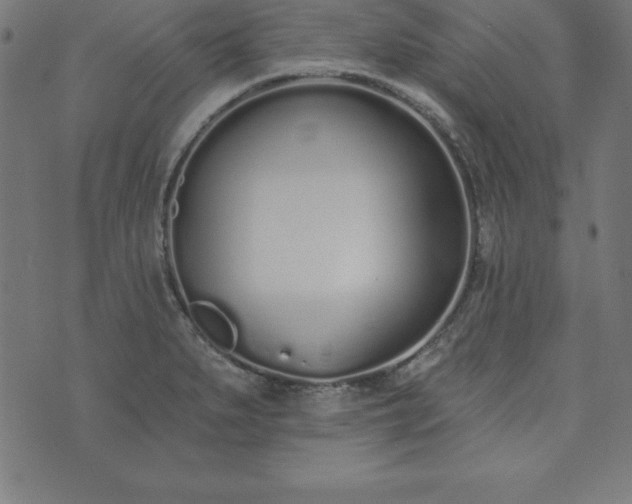 X0000073871279200608170958