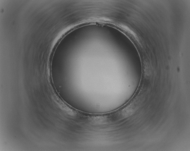 X0000073871280200608170958