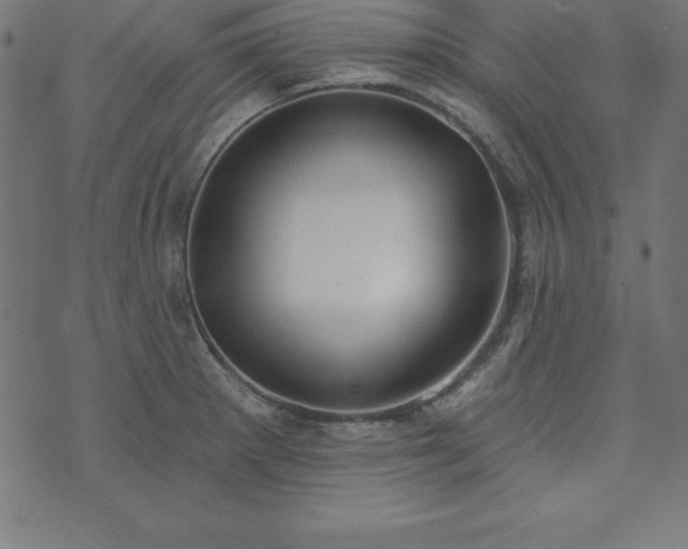 X0000073871281200608170958