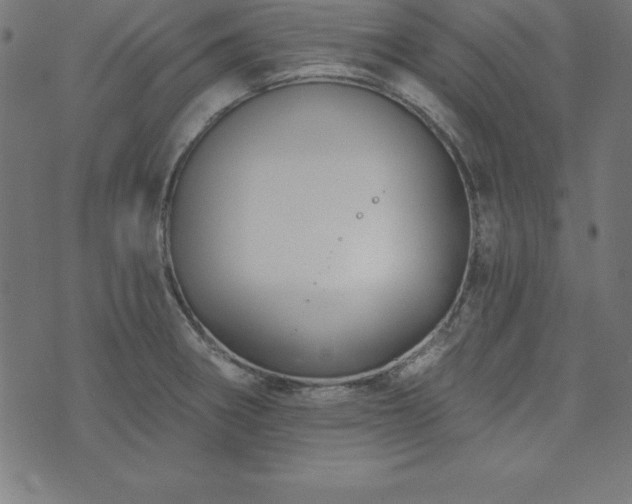 X0000073871282200608170958