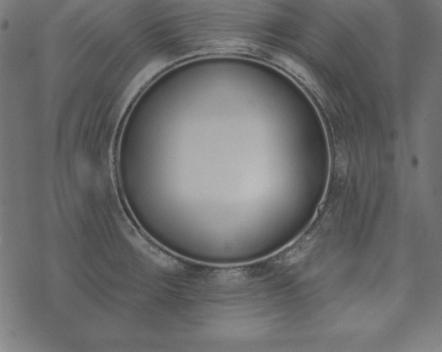 X0000073871283200608170958