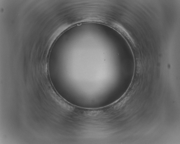 X0000073871284200608170958