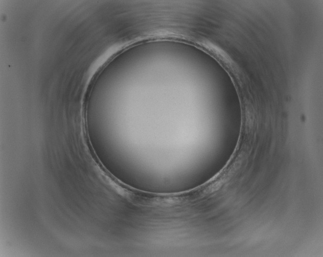 X0000073871286200608170958