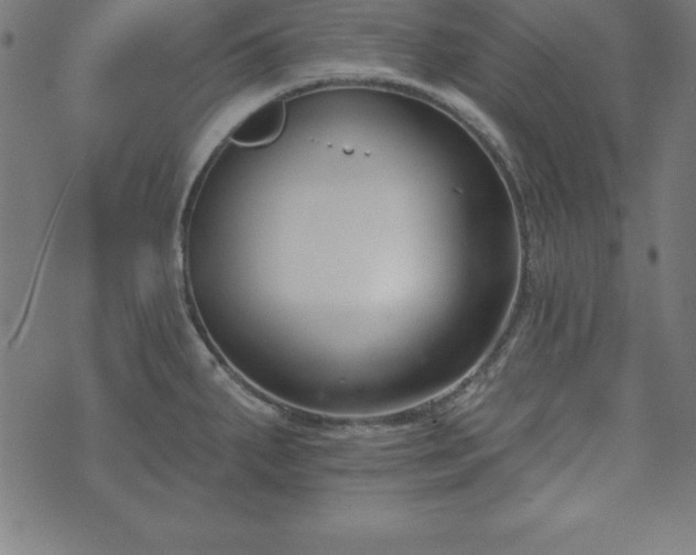 X0000073871287200608170958