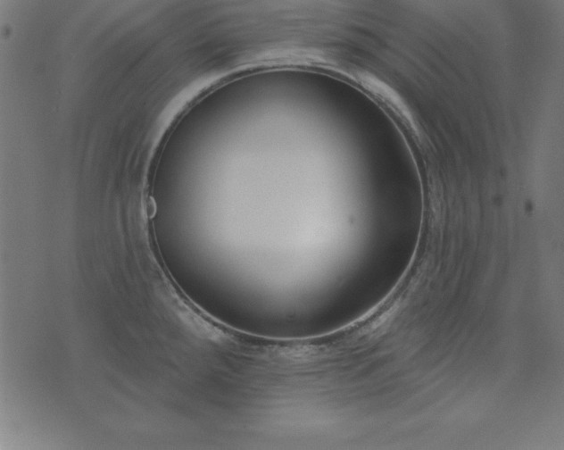 X0000073871288200608170958