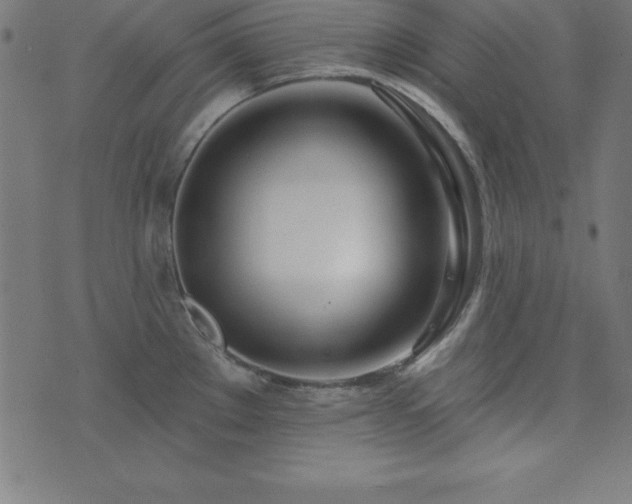 X0000073871289200608170958