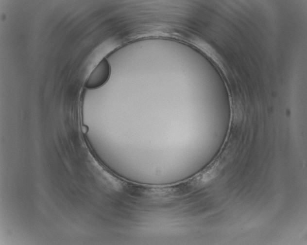 X0000073871290200608170958