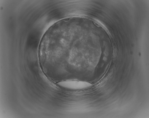 X0000073871291200608170958