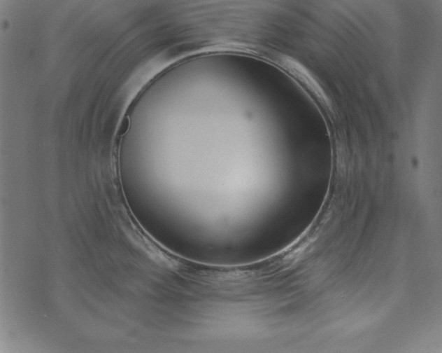 X0000073871292200608170958