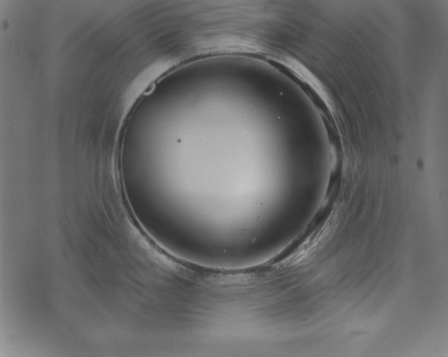 X0000073871293200608170958