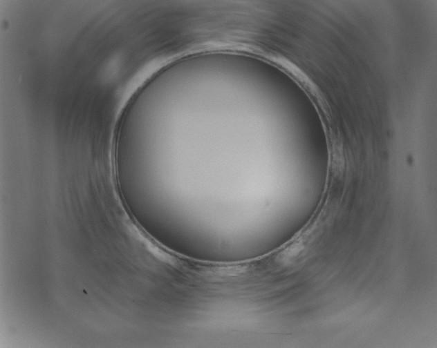 X0000073871294200608170958