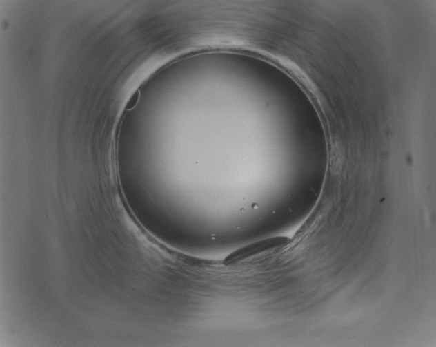 X0000073871295200608170958