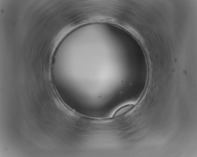 X0000073871296200608170958