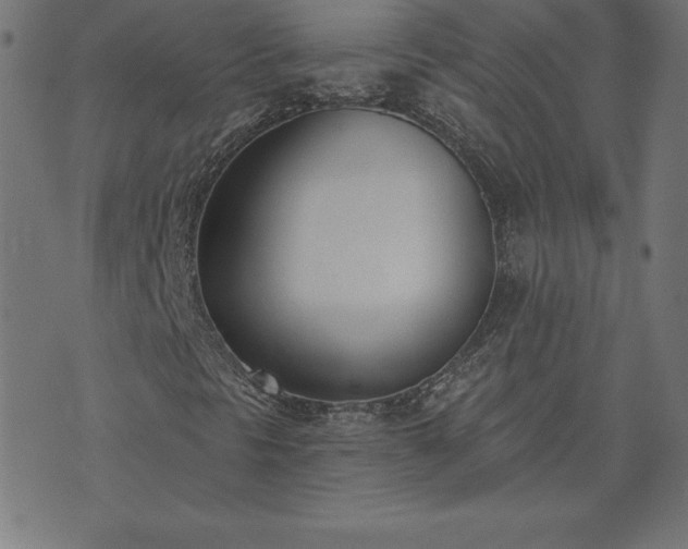 X0000073871297200608170957