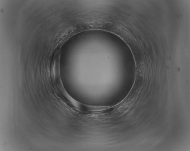 X0000073871298200608170957