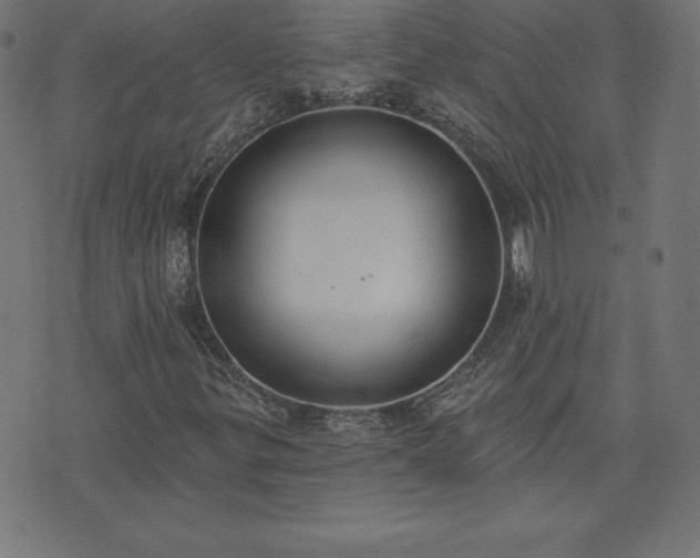 X0000073871299200608170957