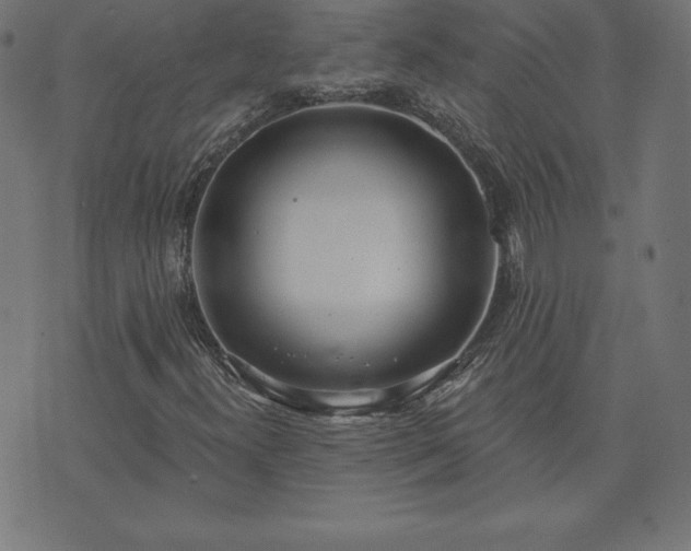 X0000073871300200608170957