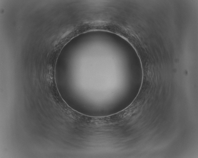 X0000073871301200608170957