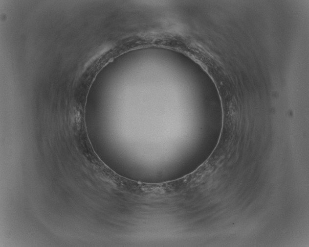 X0000073871302200608170957