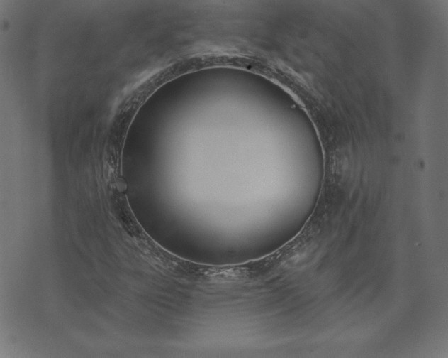 X0000073871303200608170957