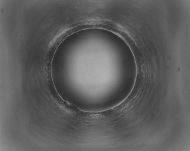 X0000073871304200608170957