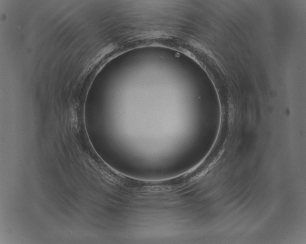 X0000073871305200608170957