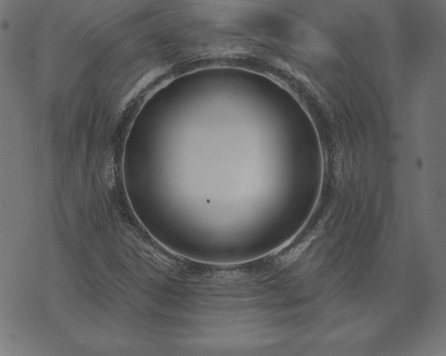 X0000073871306200608170957