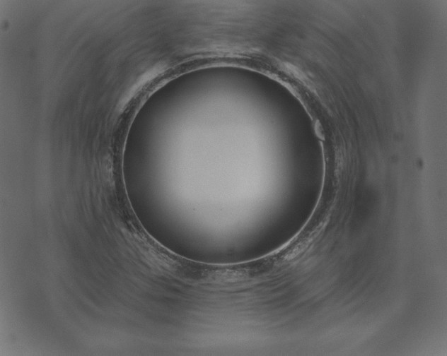 X0000073871307200608170957