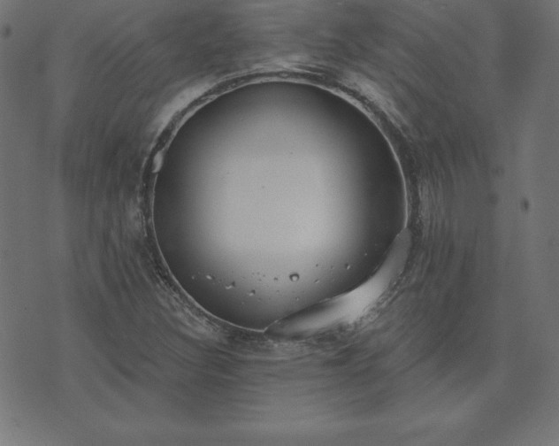 X0000073871308200608170957