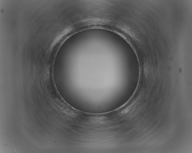 X0000073871309200608170957