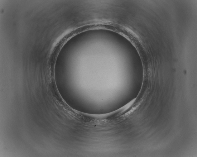 X0000073871310200608170957