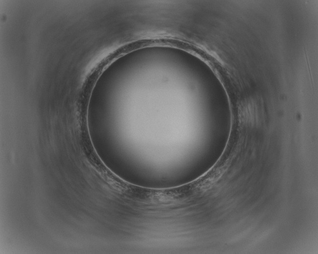 X0000073871311200608170957