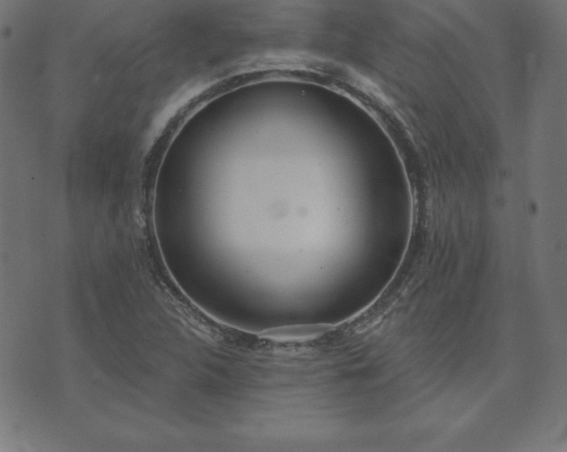 X0000073871312200608170957