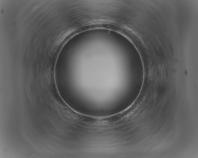 X0000073871313200608170957