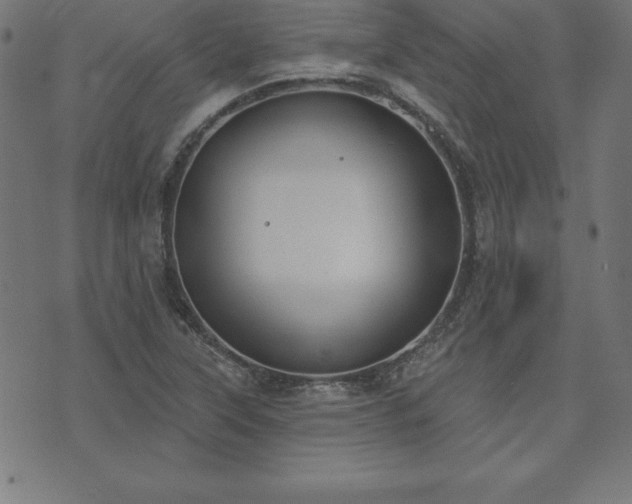 X0000073871315200608170957