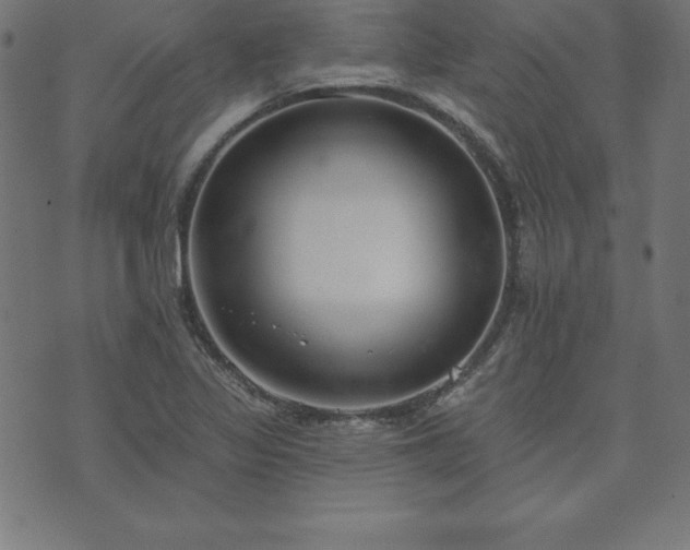 X0000073871317200608170957