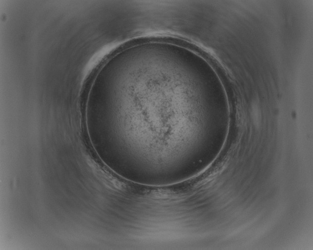 X0000073871319200608170957