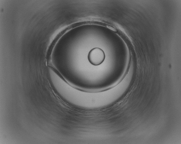 X0000073871320200608170957