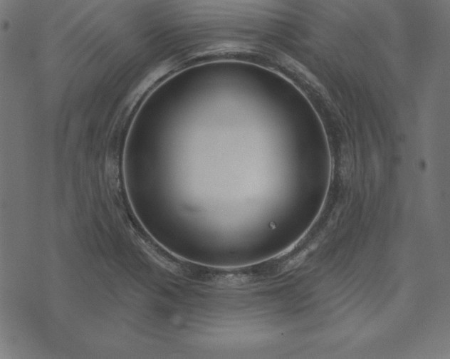 X0000073871321200608170957