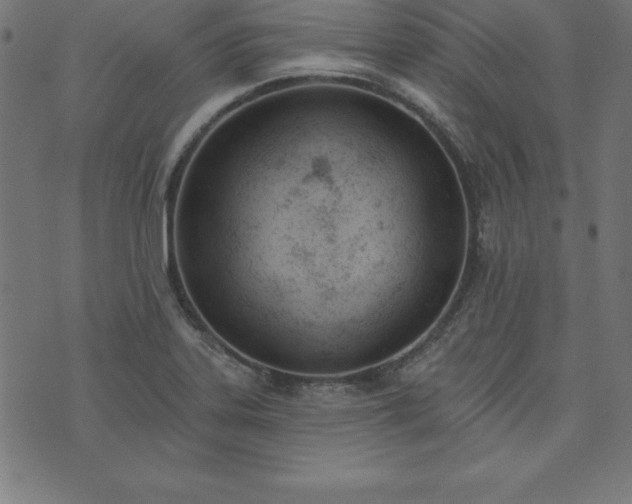 X0000073871323200608170957