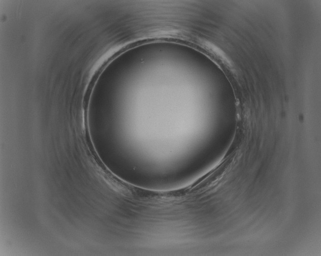 X0000073871324200608170957