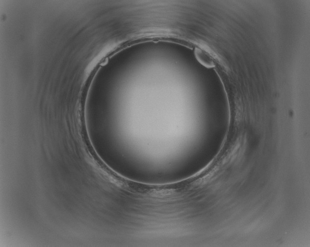 X0000073871325200608170957