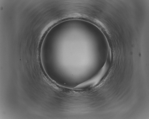 X0000073871326200608170957