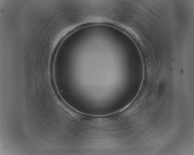 X0000073871327200608170958