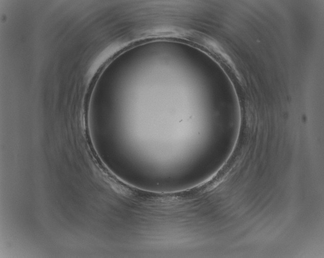 X0000073871328200608170958