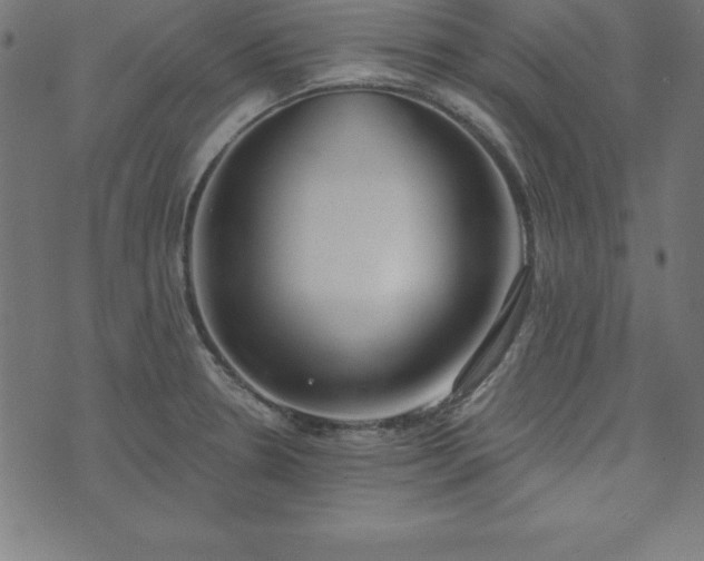 X0000073871330200608170958