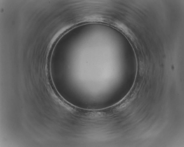 X0000073871331200608170958