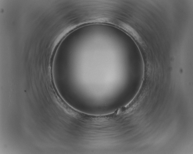 X0000073871332200608170958